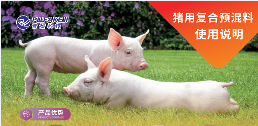 猪预混